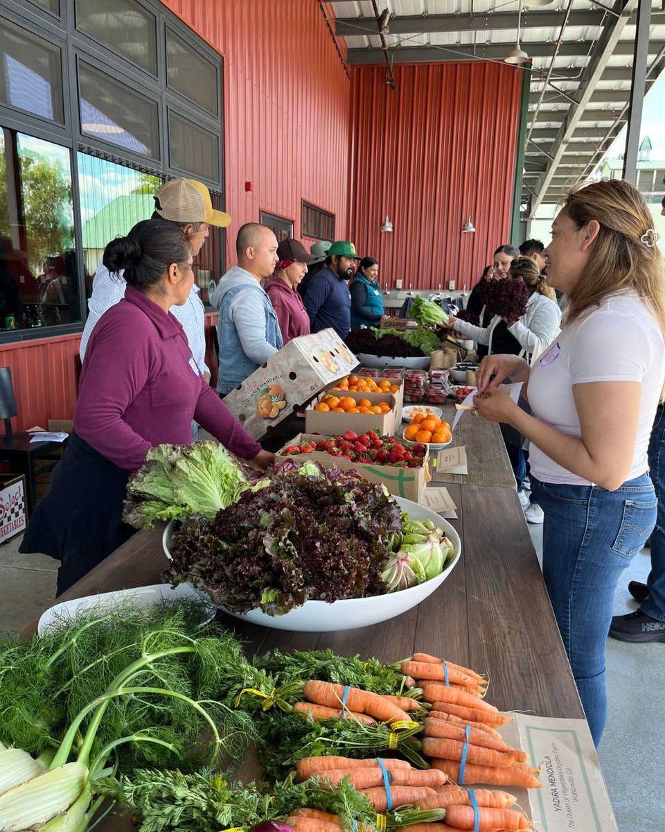 consciouskitchn's tweet photo. So much fun hosting our Organic Farm-to-School Workshop for Central + San Joaquin regions at @PaicinesRanch! Farmers, school nutrition leaders, chefs, &amp; partners gathered for real talk on triumphs, challenges, and shared goals—strengthening connections from field to cafeteria. https://t.co/eubWWfx9Z7