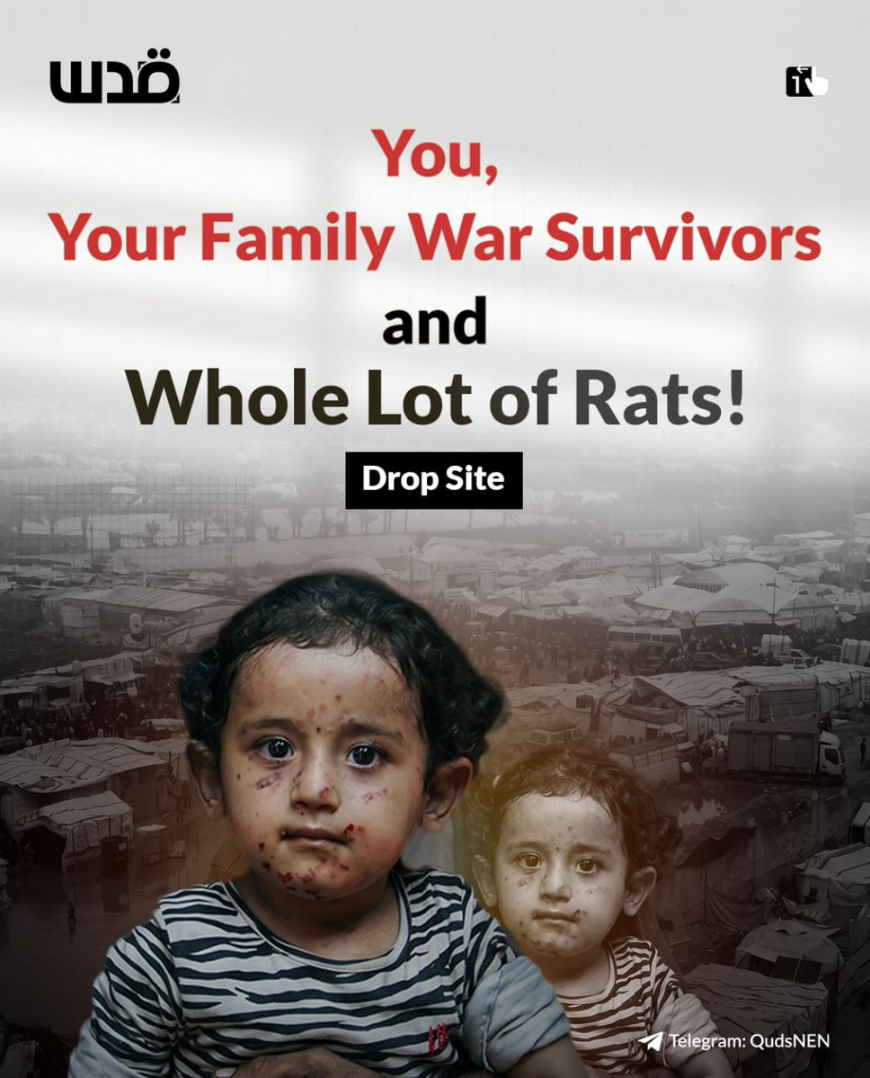 QudsNen's tweet image. Displaced families in Gaza are facing a growing public health crisis, with UN reports indicating rodents and pests spreading across more than 1,600 shelters, affecting over 1.45 million people.

With poor sanitation and mounting waste due to Israel's systemic destruction, more