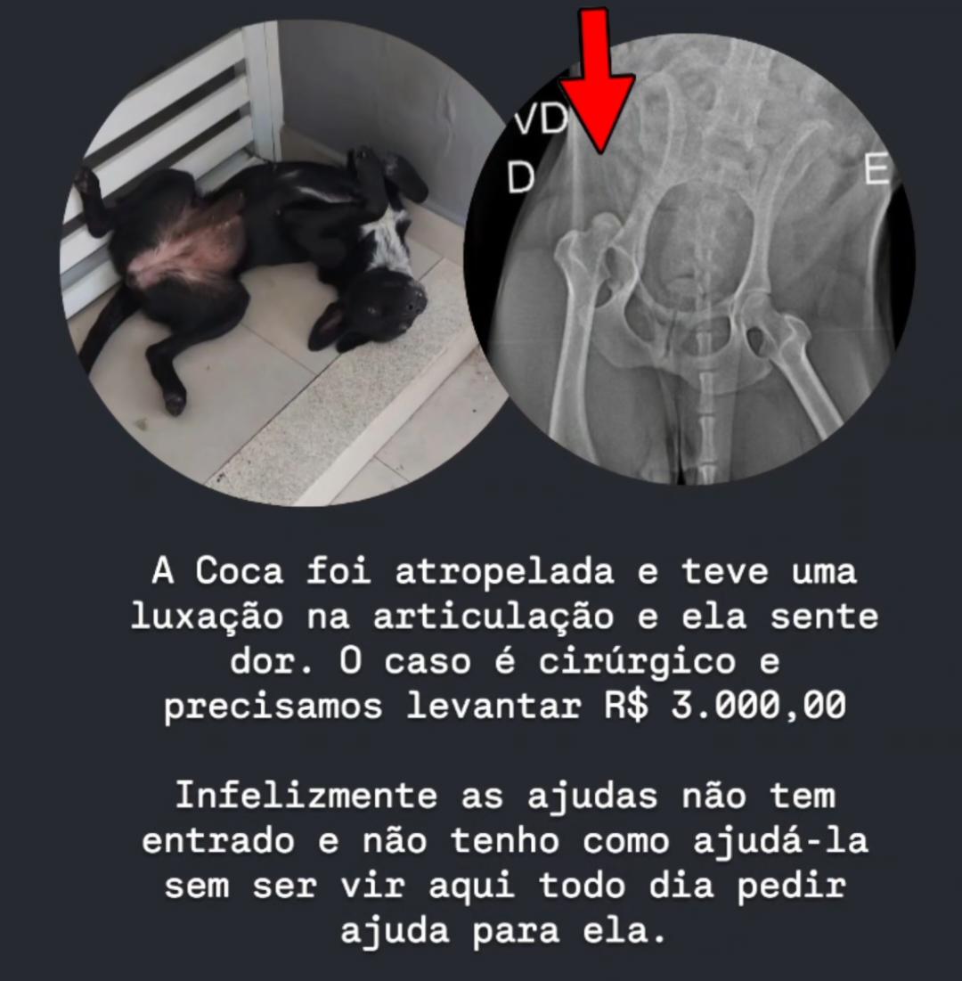 Amigos do Sonso tweet media