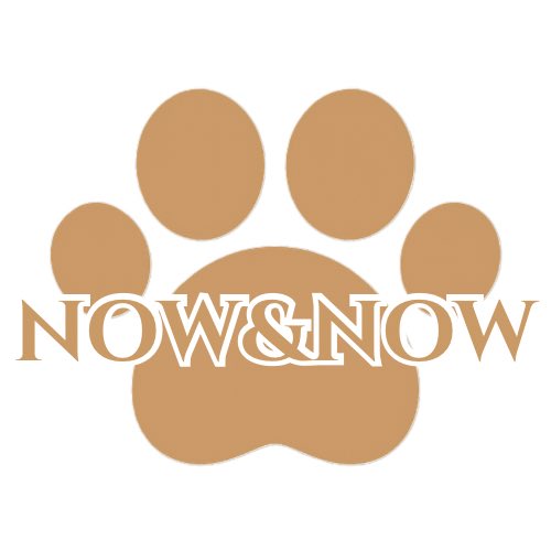 nownowproject's tweet photo. 掲載店を募集しております

●掲載料無料（月額も無料）
●ポイントシステム導入無料（ポイント付与した場合のみ3%利用料が発生します）

※お���軽にお問い合わせください
DMもしくは
NOW&amp;NOW（ナウナウ）お問合せ専用LINEより
https://t.co/R6AT5nAU8d

#ナウナウ #集客 #店舗 #キッチンカー https://t.co/Bri7ZnpyFA