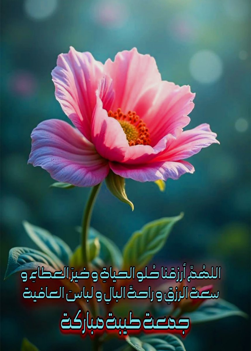 أبو عبدالله🇸🇦 tweet media