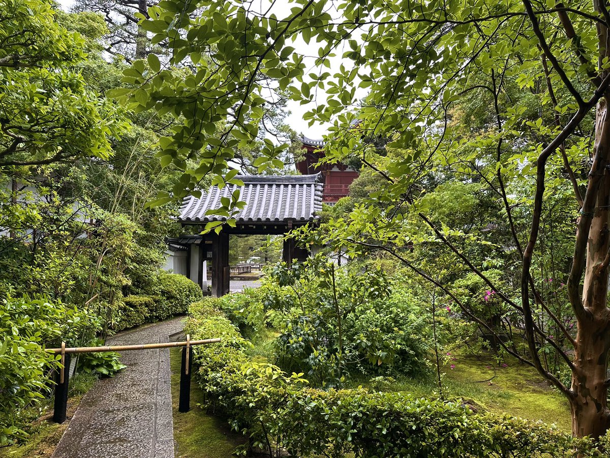おはようございます。
本日は京都、妙心寺退蔵院での展示の搬入。
今日から会期の前後含めて11日間通います。雨でしっとり。新緑が美しい。