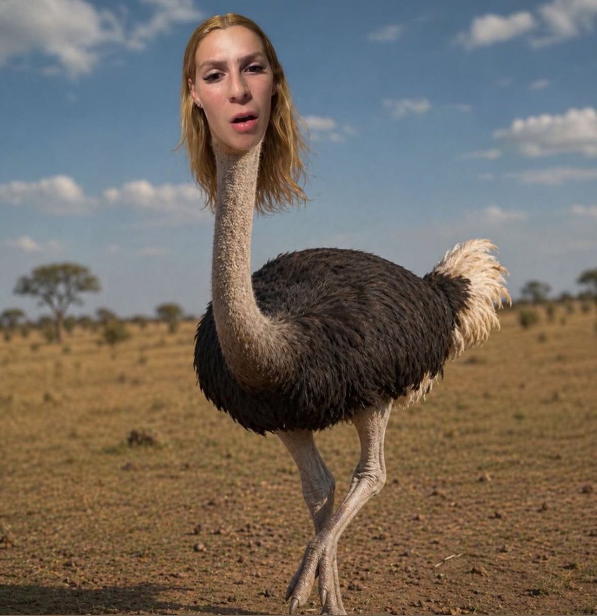 a malévola e a todynho desbancando a shakira socorro