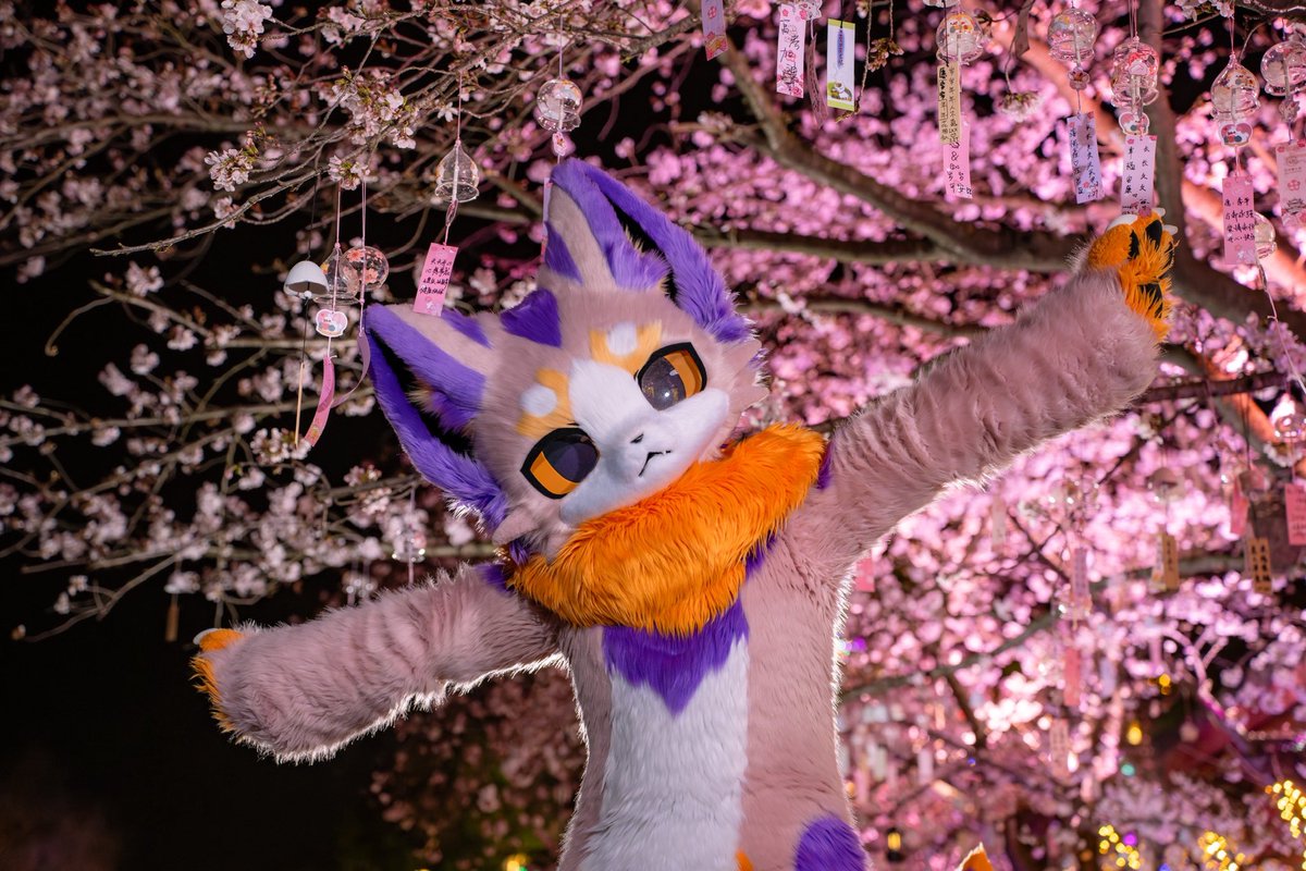 sumimaru710's tweet photo. hf 我来啦ε=ε=(ﾉ≧∇≦)ﾉ

#FursuitFriday #furry #hifurry https://t.co/G2GiSVAecJ