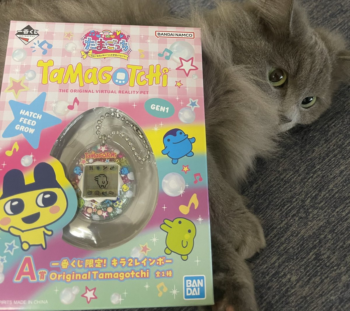 katatama45's tweet photo. たまごっち🥚
1発ツモにゃ🐈‍⬛ https://t.co/sVKtyX35kj
