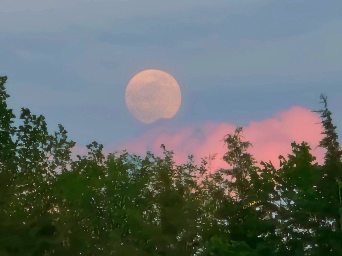 ginfuhrer1's tweet photo. @NickBenderKMBC @JacobLanierWx @fox4wx beautiful moon rise tonight . . Springdale, Leavenworth County ~ https://t.co/D693XYXdS3
