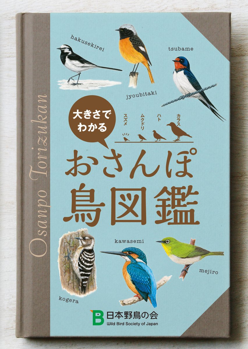 日本野鳥の会 お散歩ひなこ tweet media