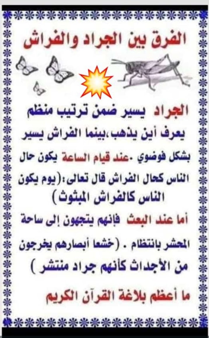 Maleeh Abu Dannh Naimat . tweet media