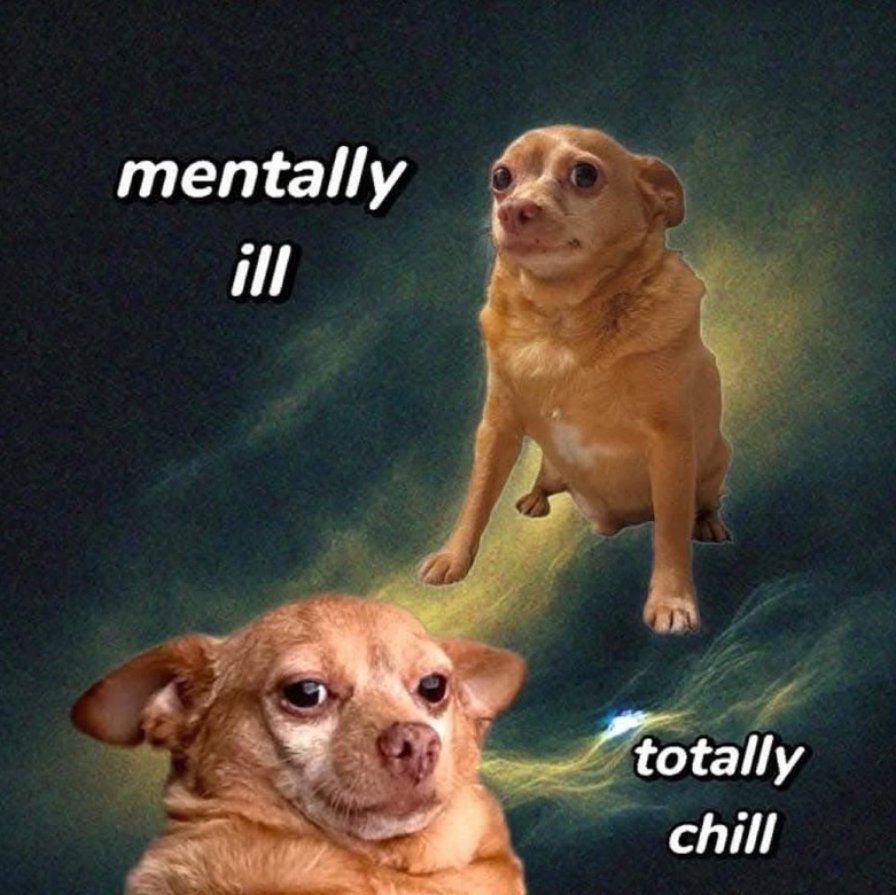 Dog In Pain $DIP tweet media