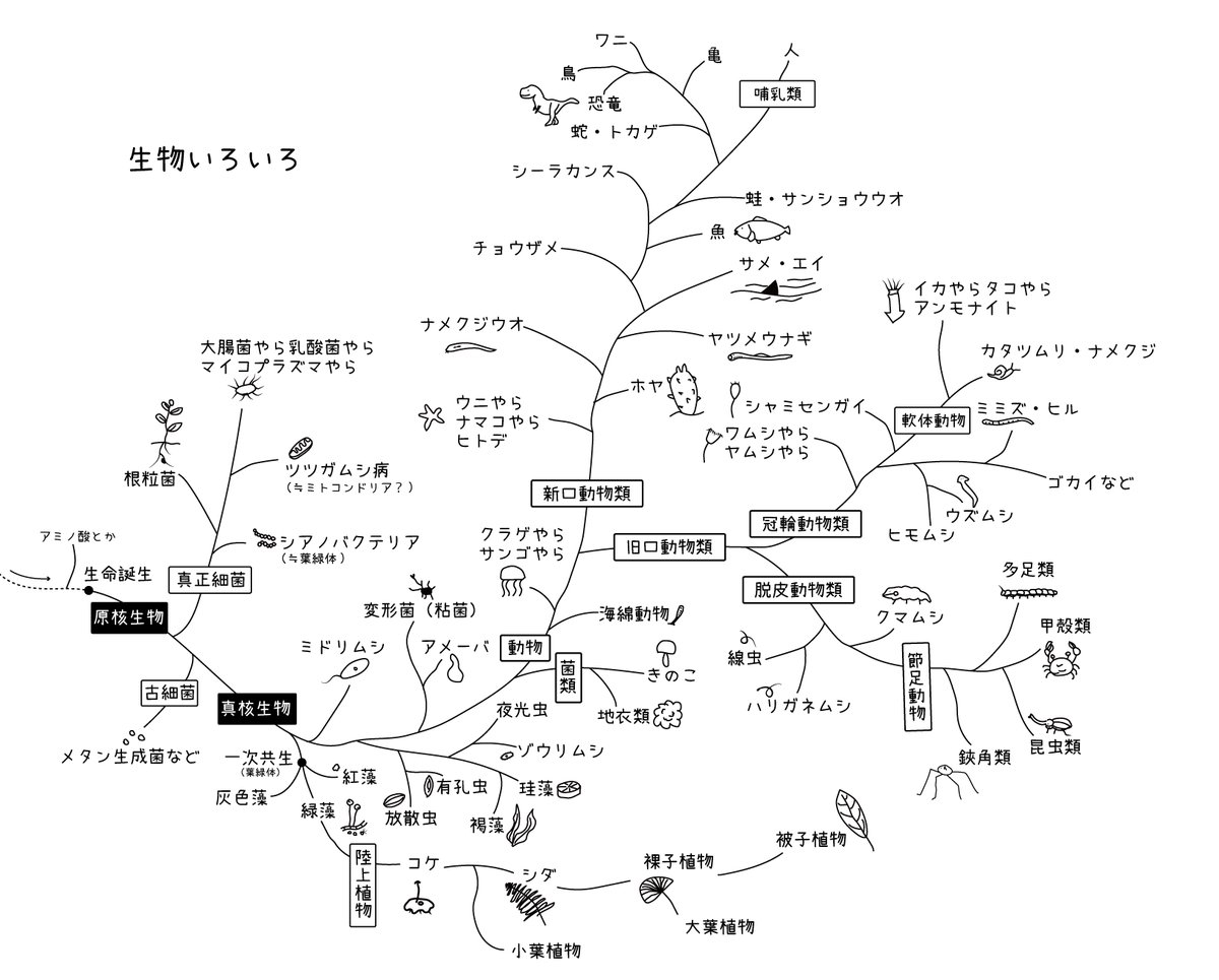 豊田ホタルの里ミュージアム tweet media