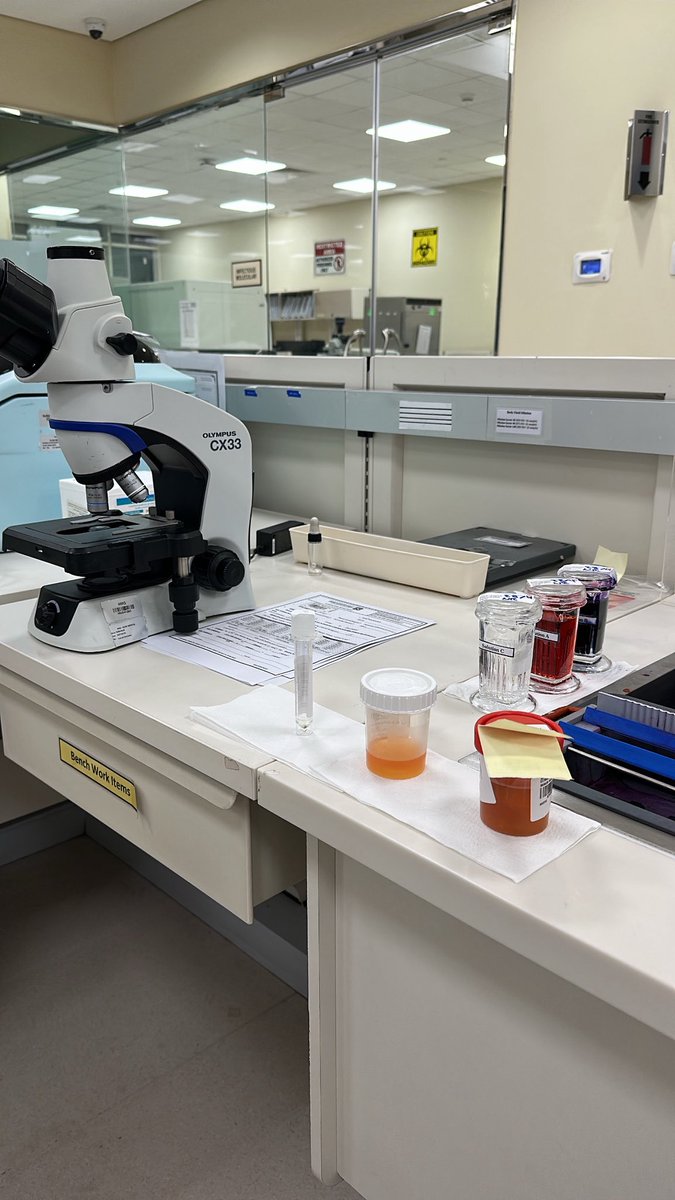 A_Asiri4's tweet photo. First week of night shifts in Hematology done.. Surprisingly enjoying it!
Worked on donor samples including Sickle cell anemia and Malaria, along with WBC differentials and bone marrow slides.
Hematology will become the favorite, I think so 🩸 🔬 https://t.co/rlj4NLW8Nq