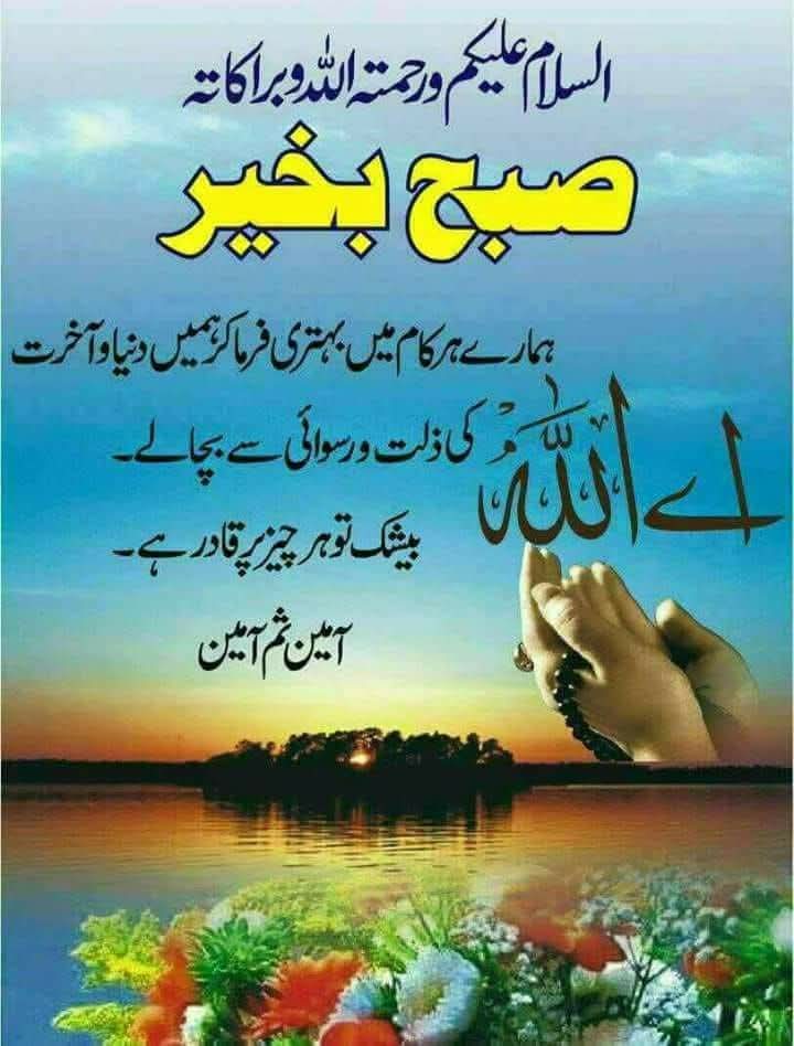 Mushtaq Memon مشتاق میمڻ tweet media