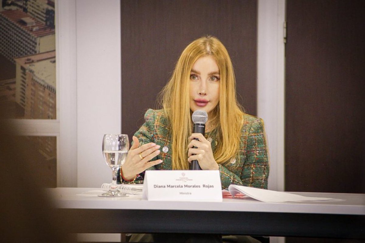 Con el nuevo Decreto 0455, Colombia implementa aranceles inteligentes del 35%, 50% y 75% a 191 productos de Ecuador (que no son todos). El objetivo es claro: proteger el empleo nacional y equilibrar la balanza ante la tasa impuesta por el impresentable de Noboa. Cómo funciona?
