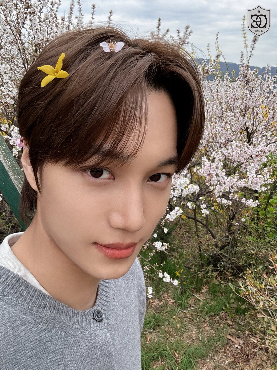 Kai's Folder tweet media