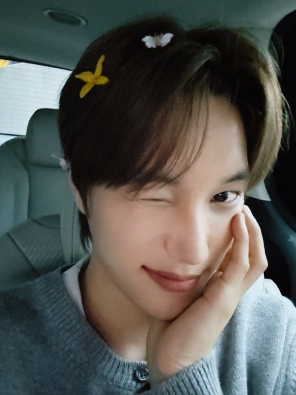 Kai's Folder tweet media