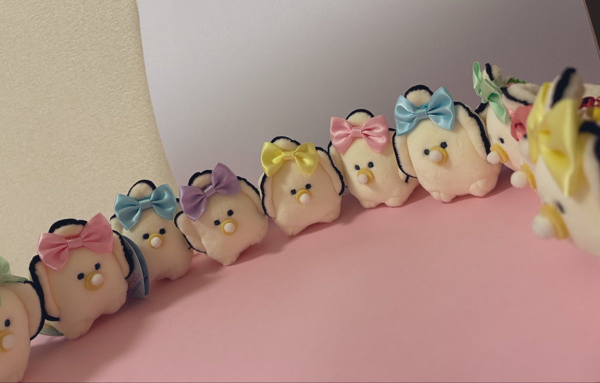 ニッチョ🥼 tweet media
