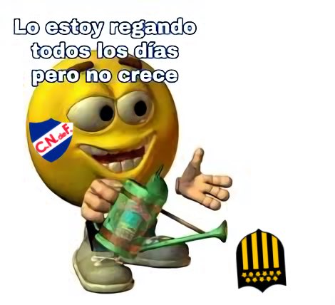 Uruguayo Random tweet media
