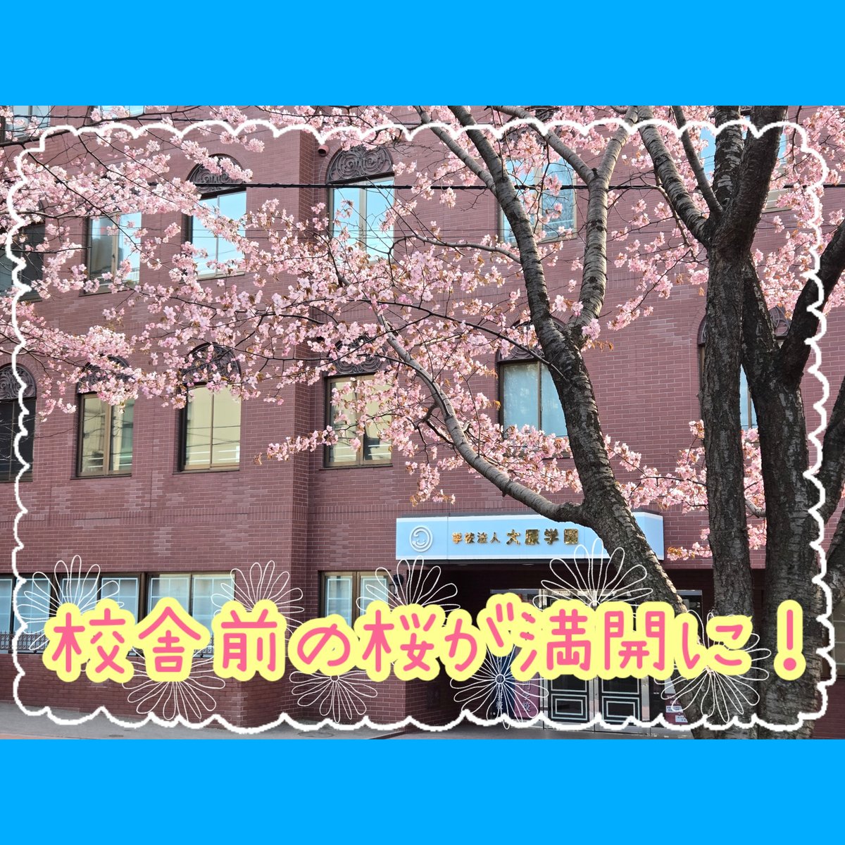 OHARASAPPOROIT's tweet photo. 入学して早1か月…校舎前の桜が満開になりました🌸
連休明け、元気に登校してくる姿が楽しみです！お休み期間、楽しんでください😊

#大原　#システムエンジニア　#AIエンジニア　#ITエンジニア　#プログラマー　#システム開発　#ゲーム制作　#ゲームプログラマー　#進路　#進学　#就職　#学校生活 https://t.co/FOJB1iDQcO