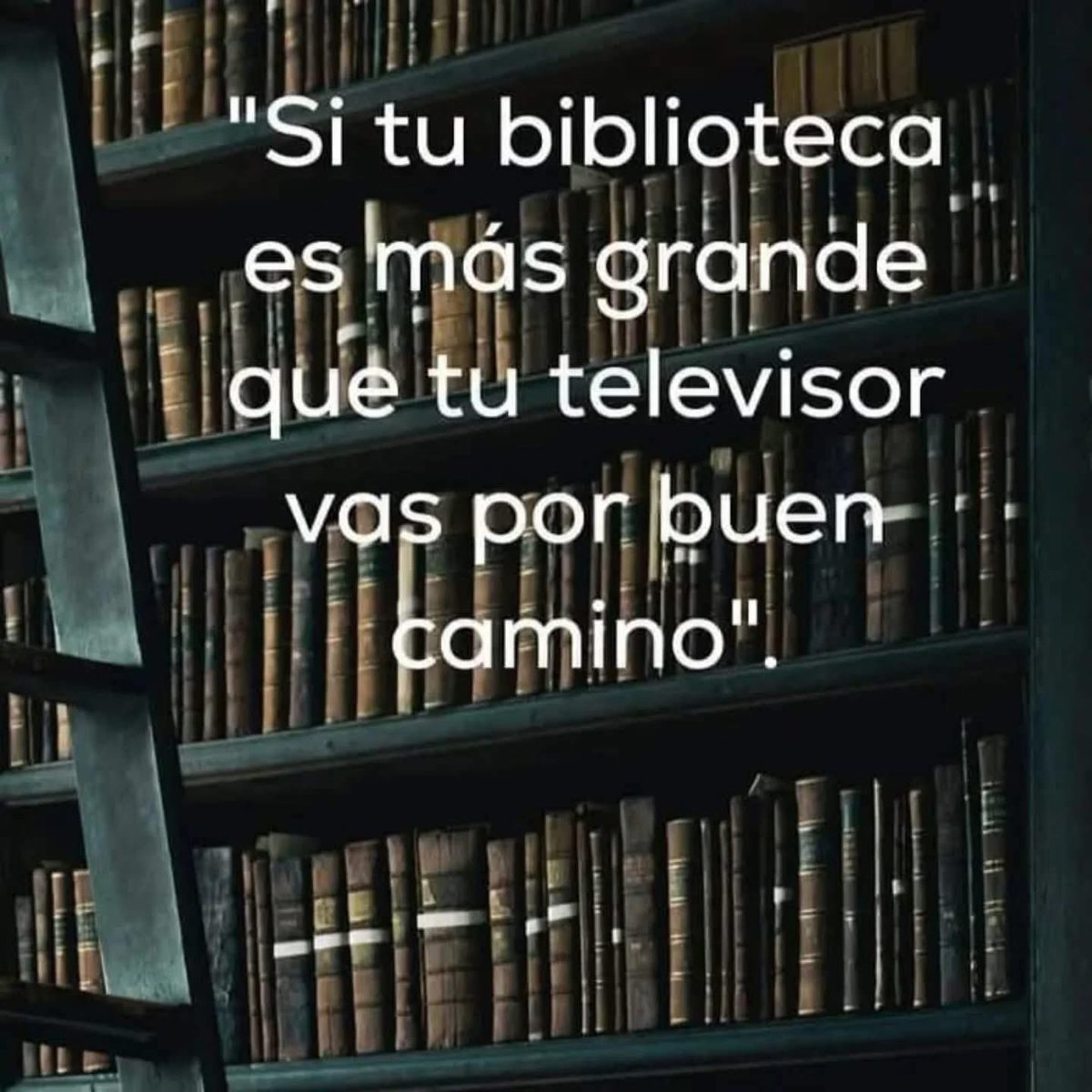Amor por los libros tweet media