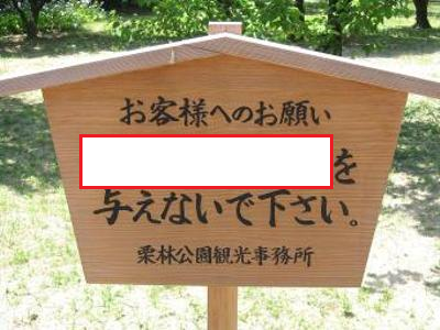 大喜利王 tweet media