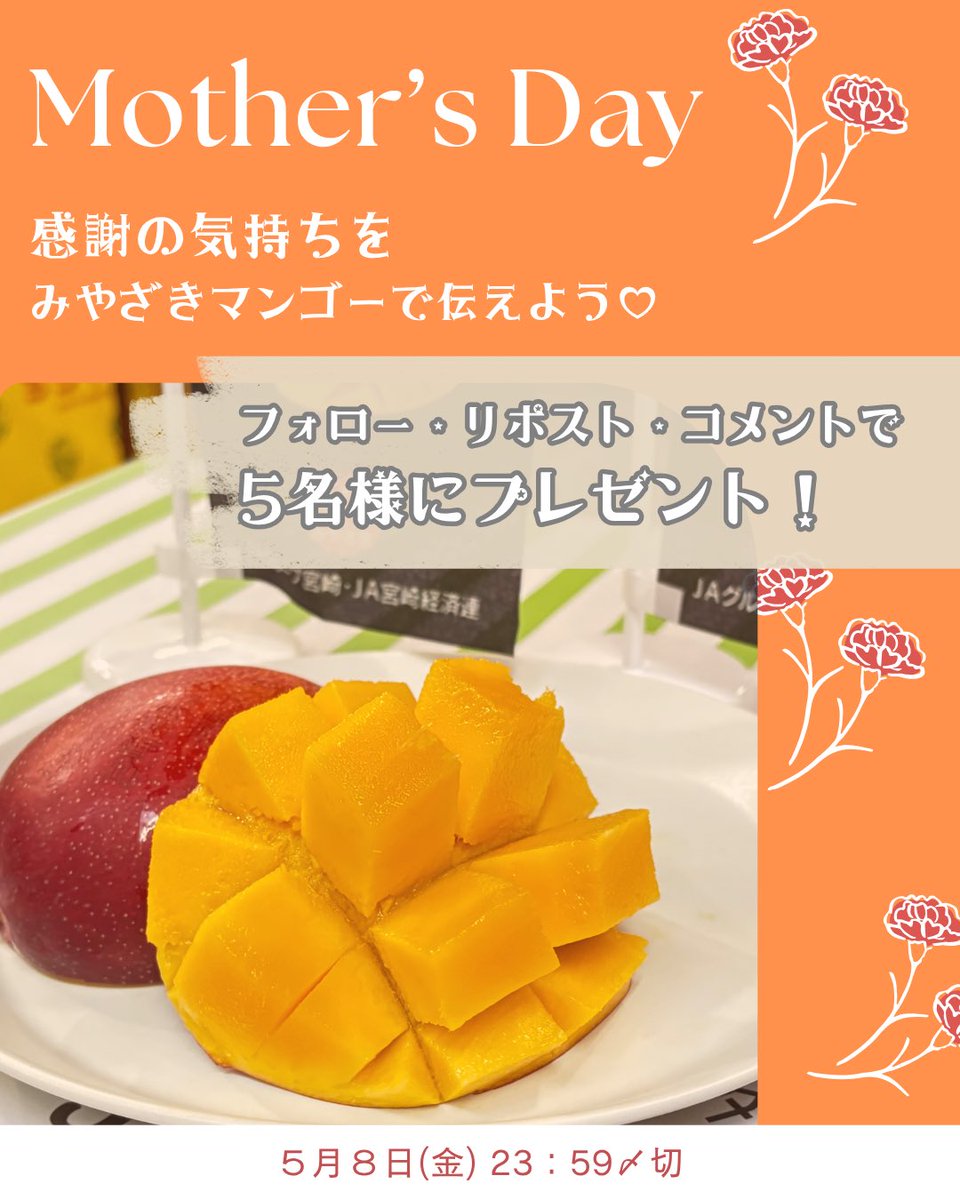 【公式】宮崎市観光協会 tweet media