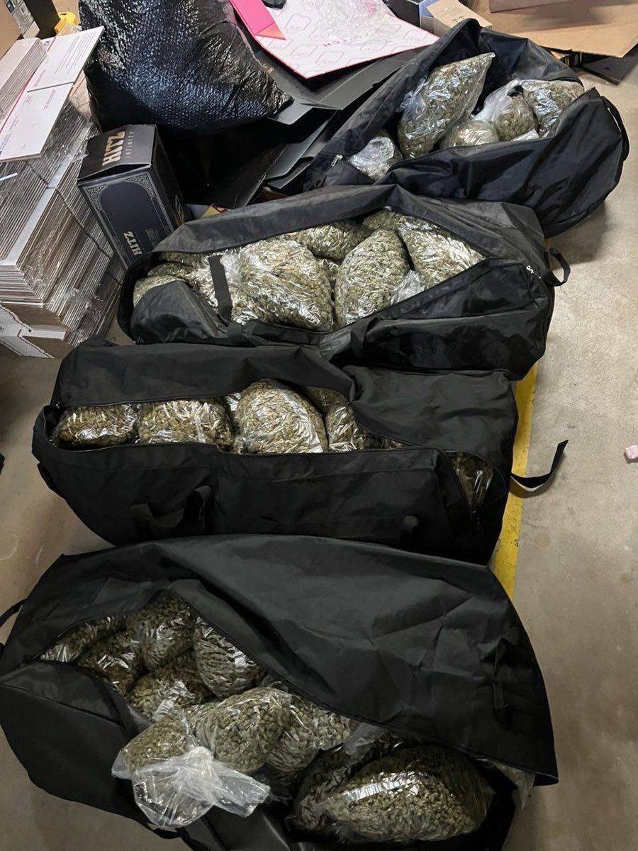 jamesessential1's tweet image. Mr. Get Dat Shit Gone🔥

130lbs+ going to my boy in
NEW YORK
Sorting thru and seeing what's left and will be posting deals for my OT/Shipped folks! It hit different when you ain't gotta cap bout yo motion 
#newyork #caliplug #motion #drugtwt #coketwt