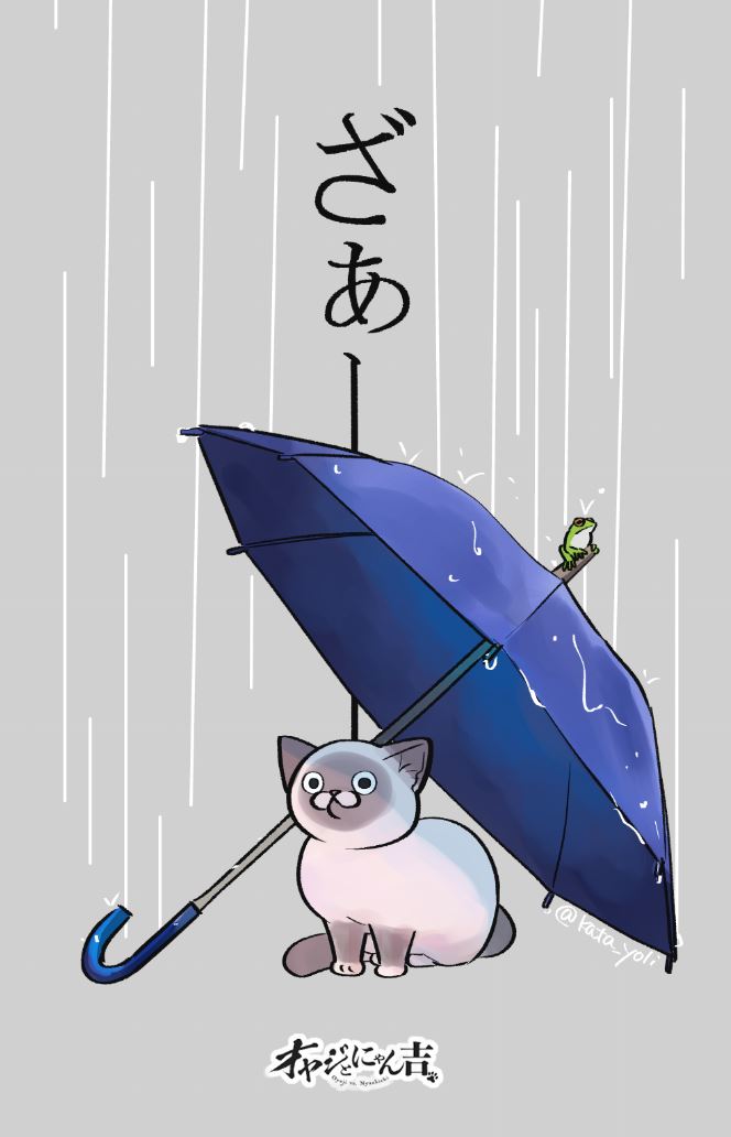 片倉 頼📦オヤジとにゃん吉👨‍🦳🐾🐱１/ ９5⃣巻発売!!🐾 tweet media