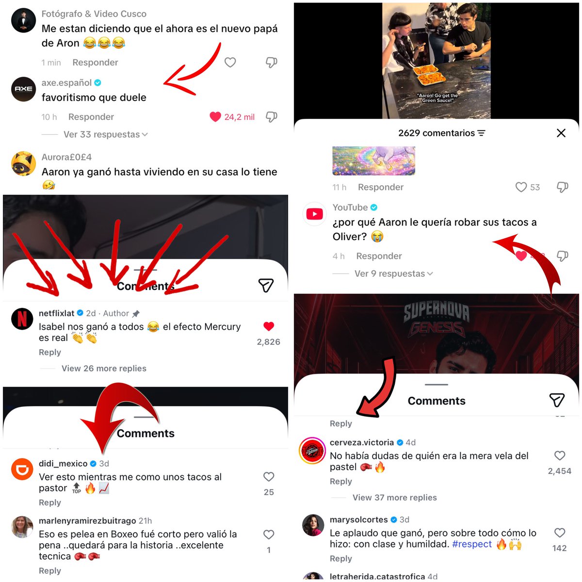 Liz tweet media