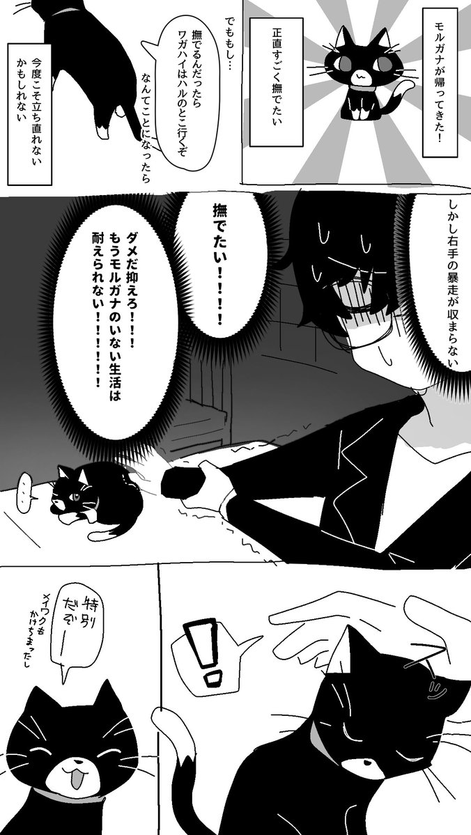 きゅうり tweet media