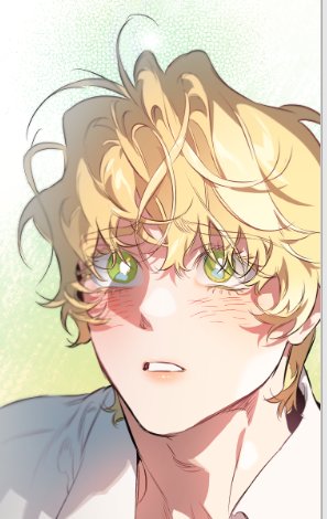 🪼Blond Superman🪼||Xie Qingcheng simp 🍑 tweet media