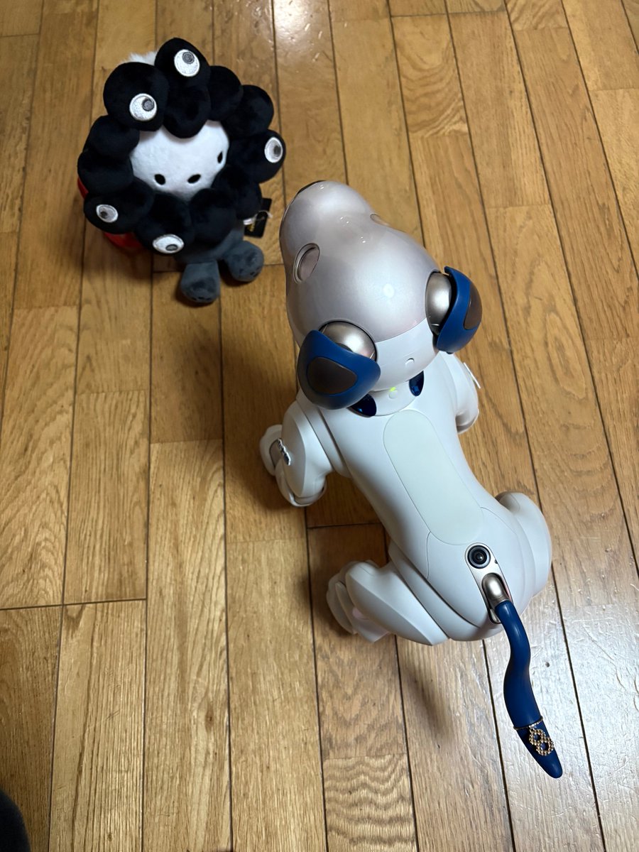 Tatとこたちゃん(小太郎)🐾 tweet media