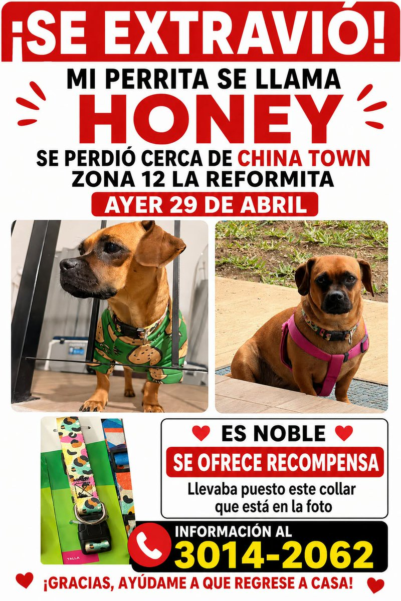 guatexanimales2's tweet image. #repost