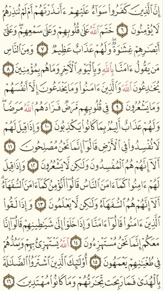 Quran tweet media