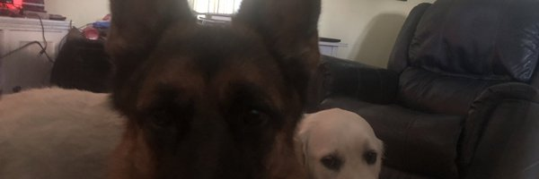 Bill Chellis tweet media