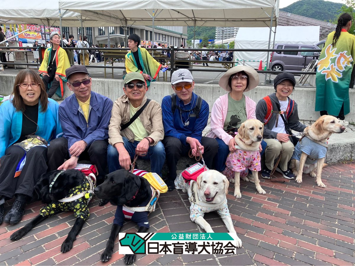 日本盲導犬協会 / Japan Guide Dog Association tweet media