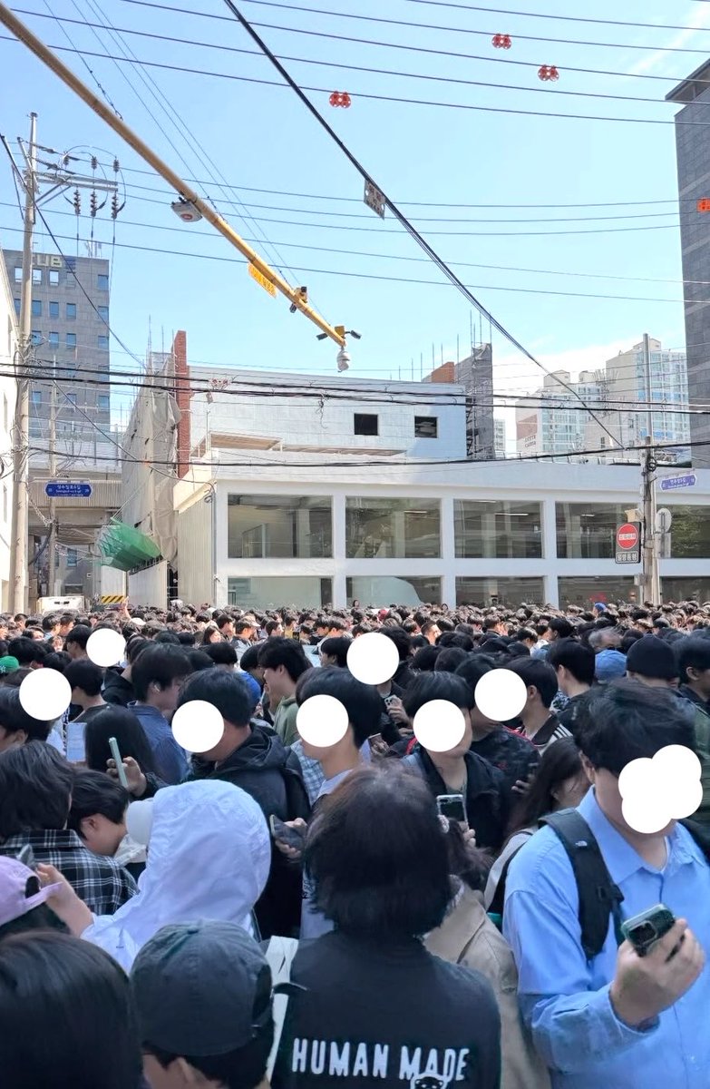 캣츠파파 tweet media