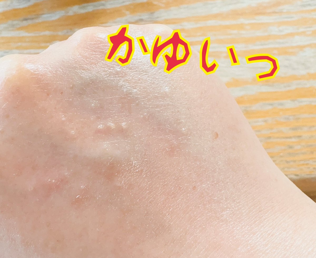 よっぴー😋｜脳科学×心理コーチ｜心が軽くなる習慣🪼 tweet media