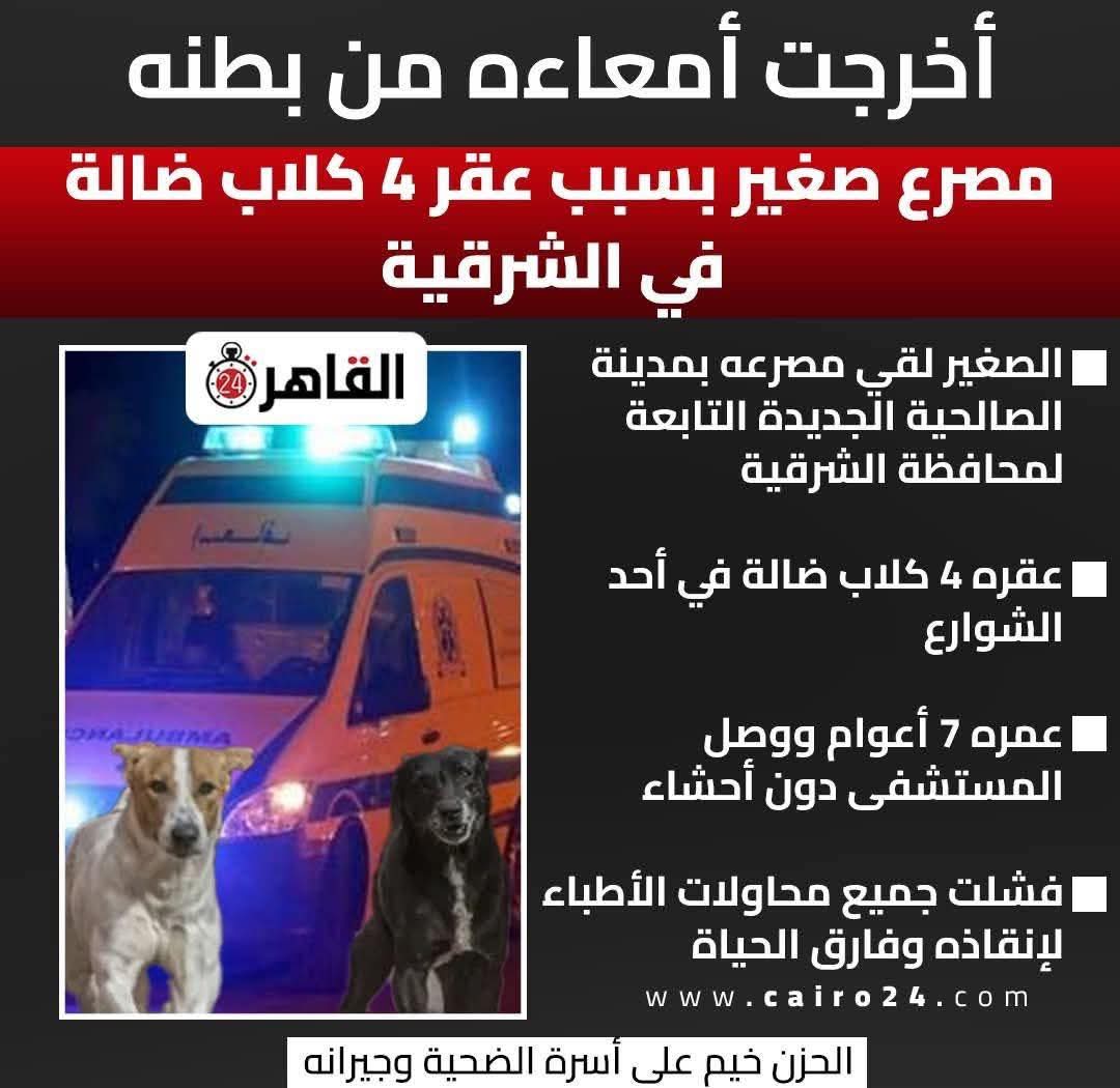Amina Tharwat Abaza tweet media