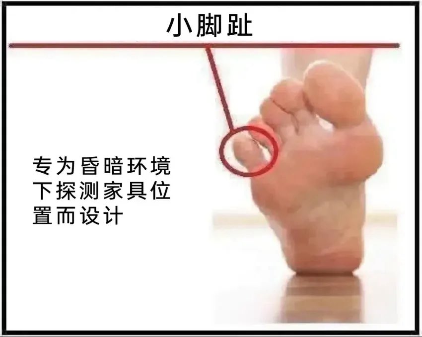 雲鳩 tweet media