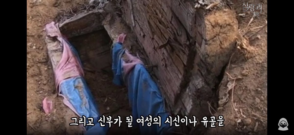 아리 tweet media