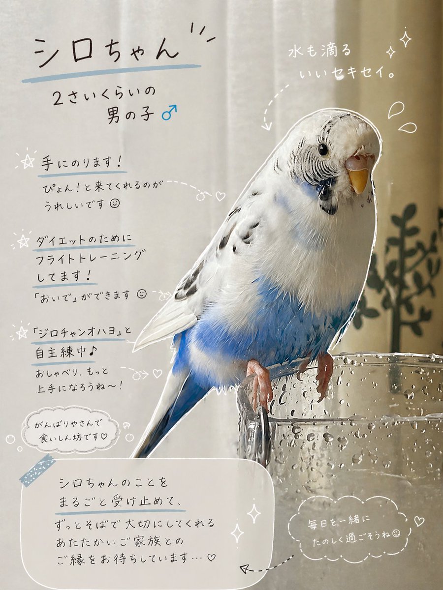 特定非営利活動法人りぐこうべ兵庫 tweet media