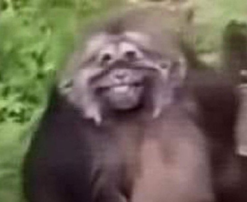 nyracult's tweet image. eu me lembro muito bem de uns e outros dali falando que não tinha problema falar atrocidades sobre o matt pq ele nem rede social tinha pra ver pois adivinha quem agora não tem mais rede social também #karma