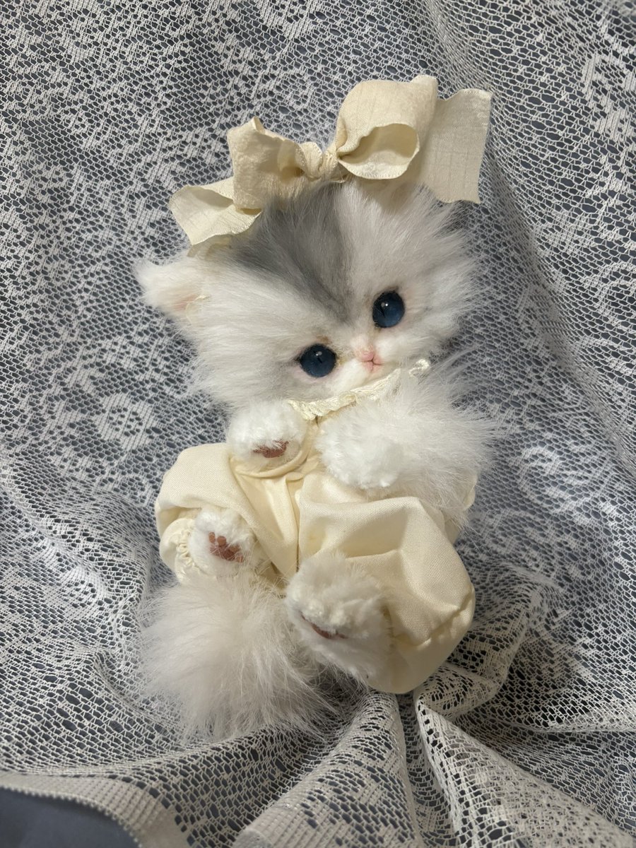 Minou（ミヌー） tweet media
