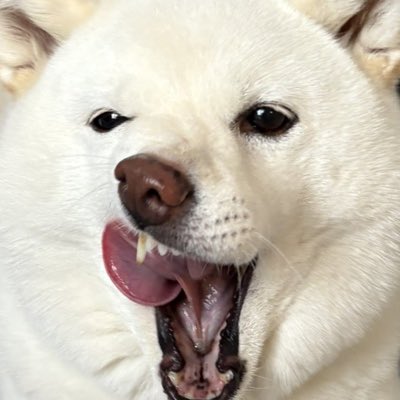 ko_mck_0's tweet photo. #新しいプロフィール画像 https://t.co/GXbxnb05iW