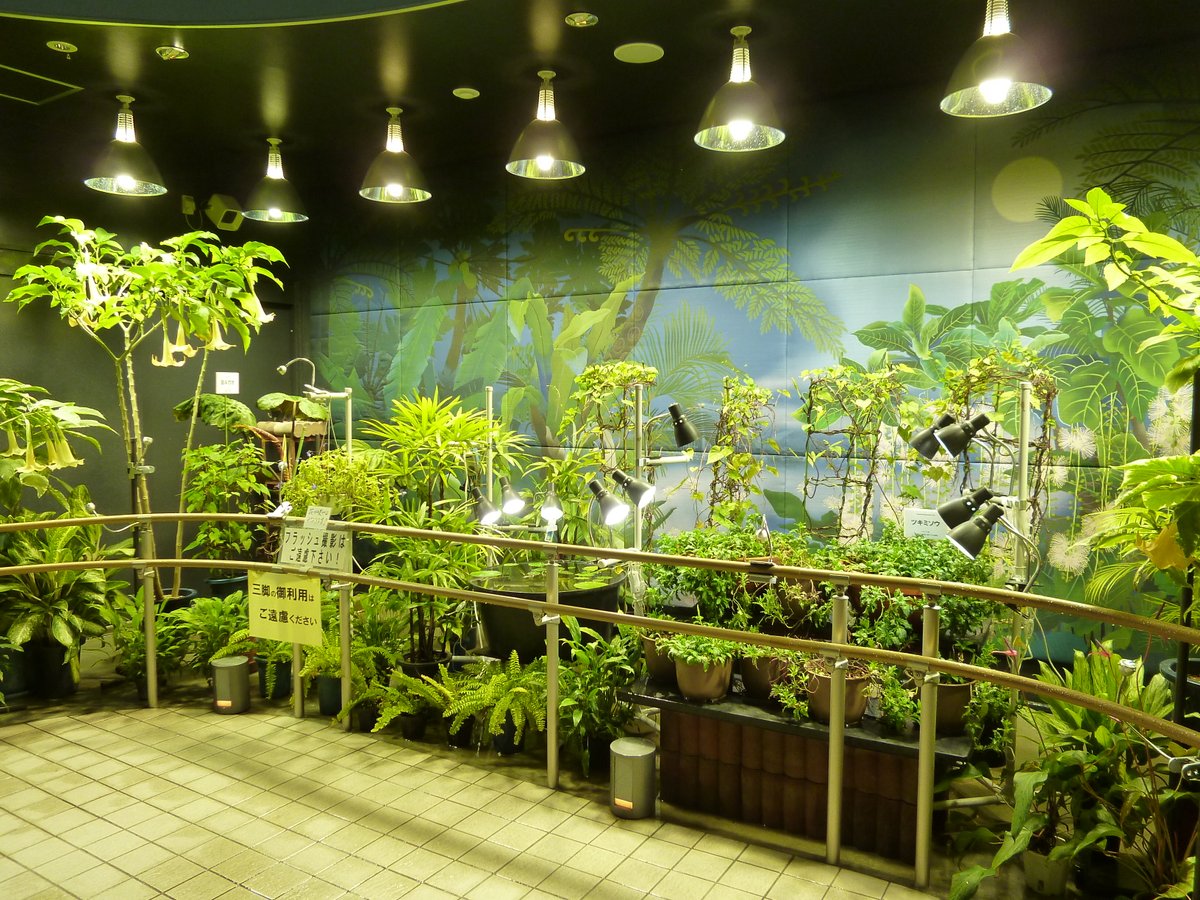 【公式】京都府立植物園 tweet media