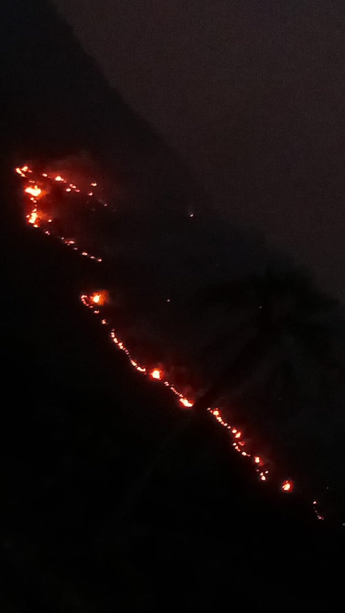 NuevoSiglo_Mx's tweet photo. 🚨🔥 ¡URGENTE EN TILANTONGO! 

Fuerte incendio forestal continúa intensificándose en estos momentos.

 Pobladores piden apoyo inmediato del Gobierno Estatal y Federal, brigadas y ayuda aérea para sofocar las llamas.
 La emergencia crece minuto a minuto.

@salomonj @Claudiashein https://t.co/MCViplqISh
