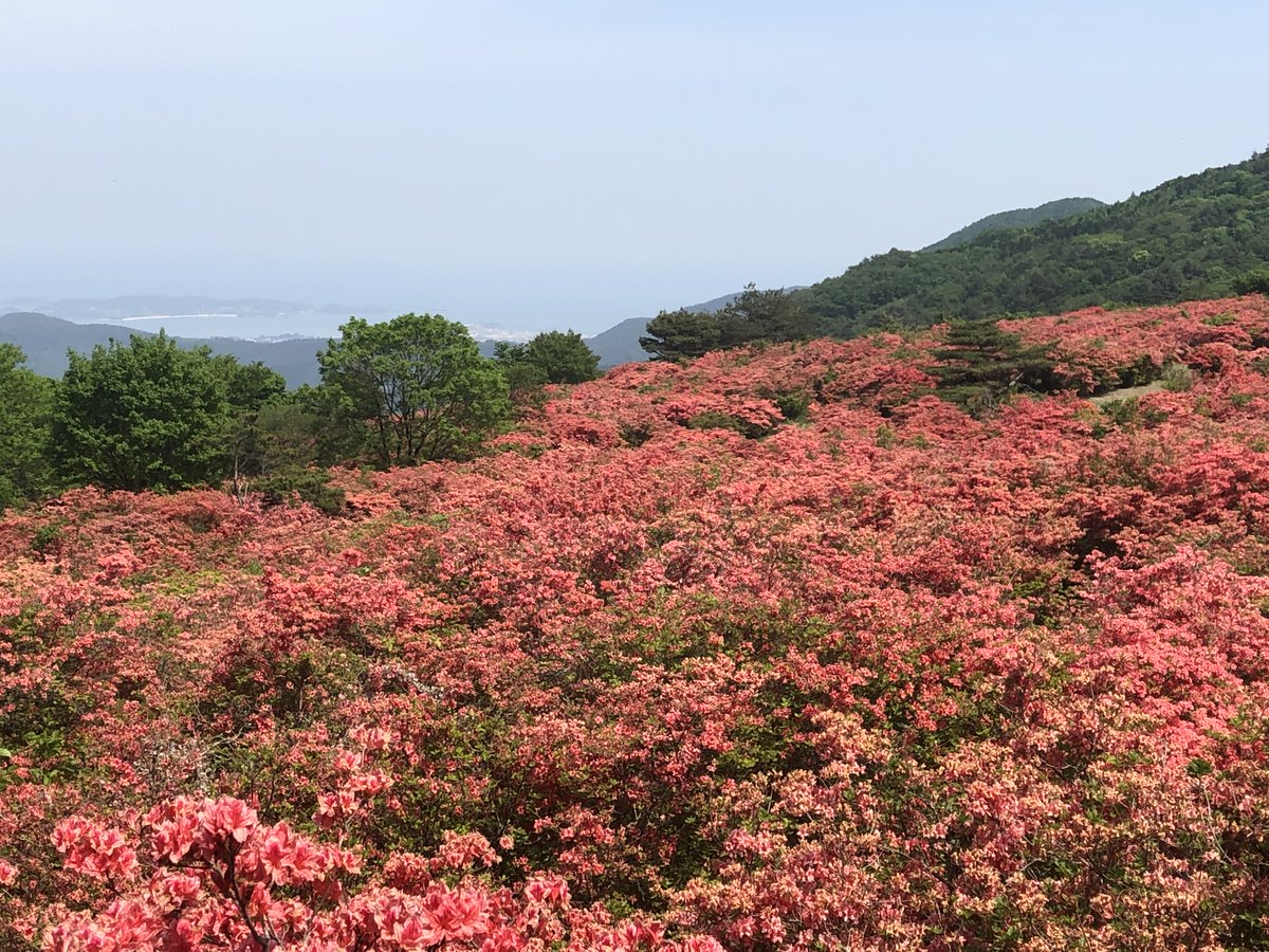 ラヂオ気仙沼 （ぎょっとエフエム） tweet media