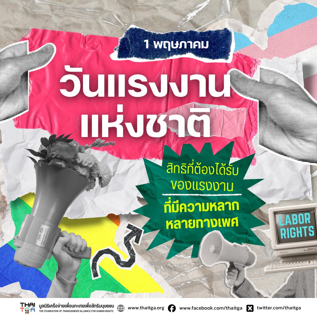 Transgender Network tweet media