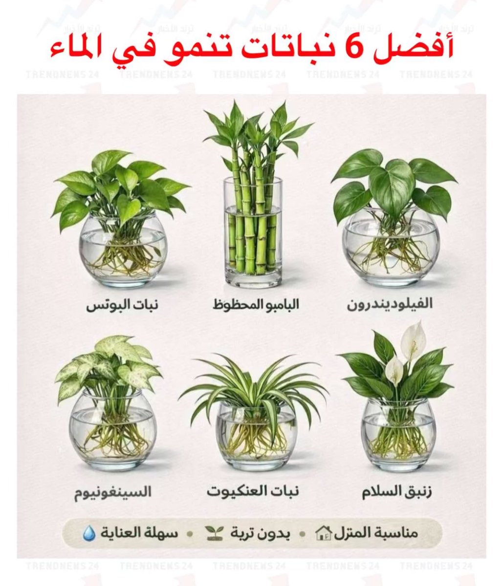••£ صاحبة مبدأ £•• tweet media