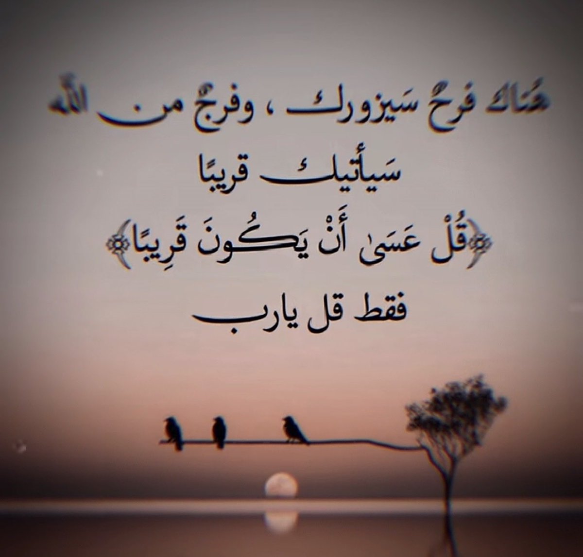 هشام الماجدي tweet media